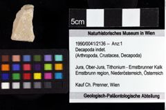 Foto (Objket + Etiketten) von Decapoda indet. 